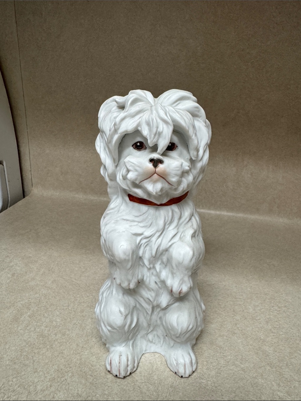 German Maltese terrier dog. Antique. Gebruder Heuback